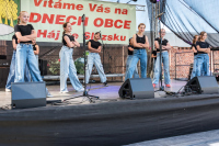 Den obce