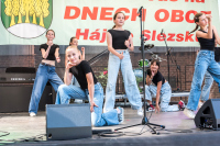 Den obce