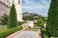 Mikulov