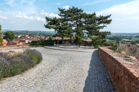 Mikulov
