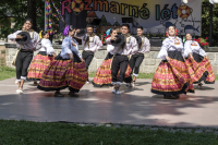 Rozmarné léto, 21. 06. 2026 Háj ve Slezsku
