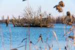 Benešovský rybník
